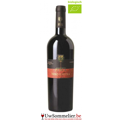 Cantina Fina Nero d'avola DOC Terre Siciliane Cantina Fina Nero d'avola DOC Terre Siciliane