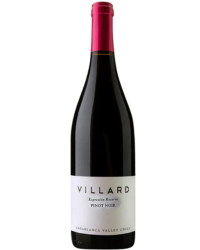 Villard expression pinot noir