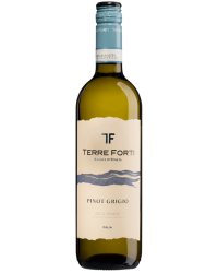 Terre Forti pinot grigio |-| Fris fruitige wijn